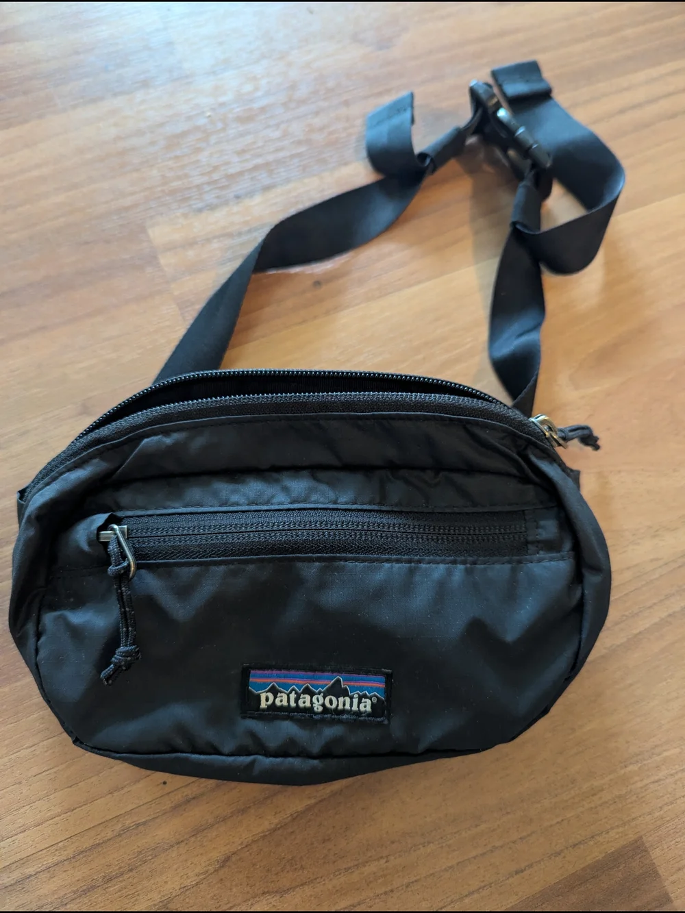 Patagonia Mini Hip Pack